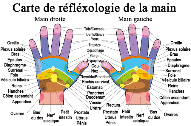 carte main reflexologie