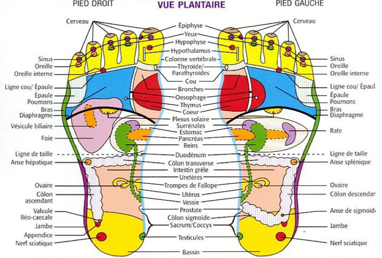 reflexologie